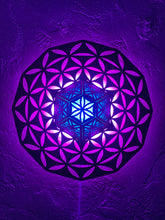 Load image into Gallery viewer, Wallgeo: Warped Flower of Life