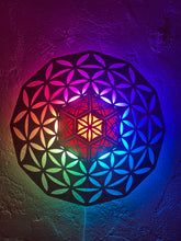 Load image into Gallery viewer, Wallgeo: Warped Flower of Life