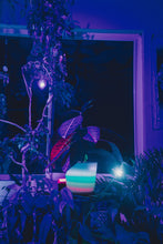 Load image into Gallery viewer, GlowyPot Kickstarter Reservation