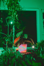Load image into Gallery viewer, GlowyPot Kickstarter Reservation