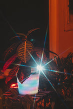 Load image into Gallery viewer, GlowyPot Kickstarter Reservation