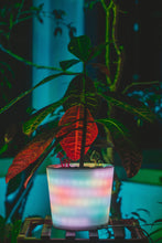 Load image into Gallery viewer, GlowyPot Kickstarter Reservation