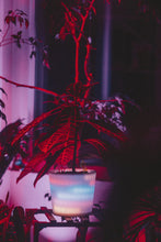 Load image into Gallery viewer, GlowyPot Kickstarter Reservation