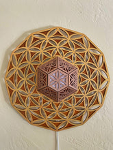 Load image into Gallery viewer, Wallgeo: Warped Flower of Life